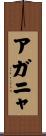 アガニャ Scroll