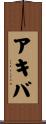 Akiva Scroll