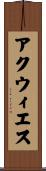 アクウィエス Scroll