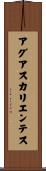 アグアスカリエンテス Scroll