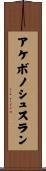 アケボノシュスラン Scroll