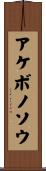 アケボノソウ Scroll