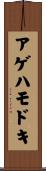 アゲハモドキ Scroll