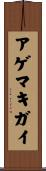 アゲマキガイ Scroll