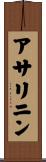 アサリニン Scroll