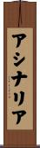 アシナリア Scroll