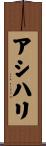 Asihli Scroll
