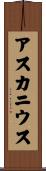 アスカニウス Scroll