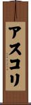 アスコリ Scroll