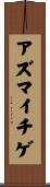 アズマイチゲ Scroll