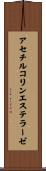 アセチルコリンエステラーゼ Scroll