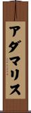 Adamaris Scroll