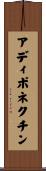 アディポネクチン Scroll