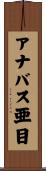 アナバス亜目 Scroll