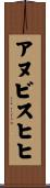 アヌビスヒヒ Scroll