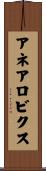アネアロビクス Scroll