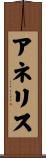 Aneliz Scroll
