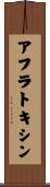 アフラトキシン Scroll