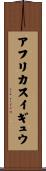 アフリカスイギュウ Scroll