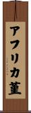 アフリカ菫 Scroll