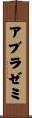 アブラゼミ Scroll