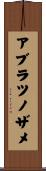 アブラツノザメ Scroll