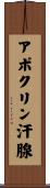 アポクリン汗腺 Scroll