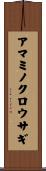 アマミノクロウサギ Scroll