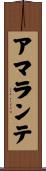 Amarante Scroll