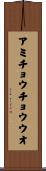 アミチョウチョウウオ Scroll
