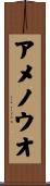 アメノウオ Scroll