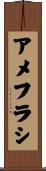 アメフラシ Scroll