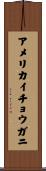 アメリカイチョウガニ Scroll