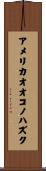 アメリカオオコノハズク Scroll