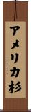アメリカ杉 Scroll