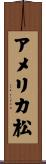 アメリカ松 Scroll