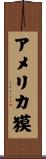 アメリカ獏 Scroll