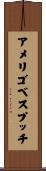 アメリゴベスプッチ Scroll