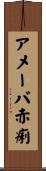 アメーバ赤痢 Scroll