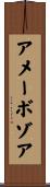 アメーボゾア Scroll