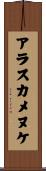 アラスカメヌケ Scroll