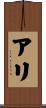 Arie Scroll