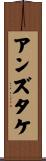 アンズタケ Scroll