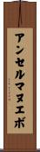 アンセルマヌエボ Scroll