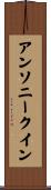 アンソニークイン Scroll