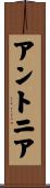 アントニア Scroll