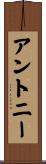 Antoni Scroll