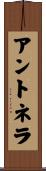 Antonela Scroll