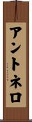 Antonello Scroll