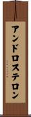 アンドロステロン Scroll